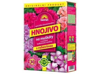 muškát