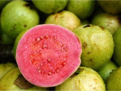 Kvajáva 'Stone Ruby'  Psidium guayaba 'Stone Ruby'