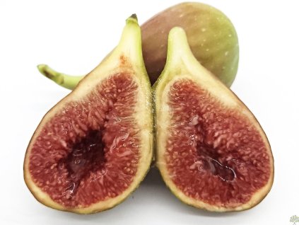 Figovník obyčajný 'Peretta'