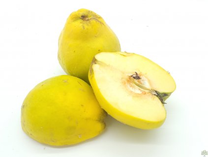Dula 'Bereckého'