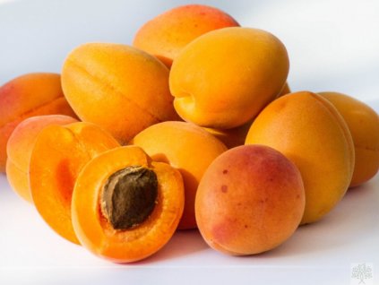 Marhuľa 'Leskora' (Balenie prostokorenný stromček, Podpník ryngle zelená)