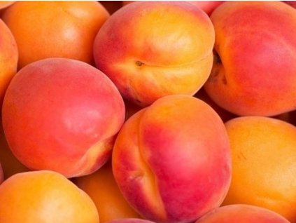 Marhuľa 'Somo' (Balenie kontajner C7,5, Podpník myrobalán)