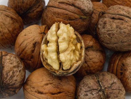 Orech kráľovský 'Apollo'