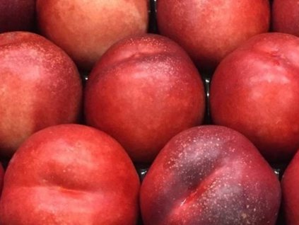 Nektarinka 'Tasty Free'