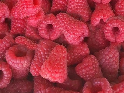 Malina 'Laszka' (remontantní)