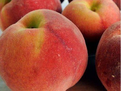 Broskyňa 'Harrow Diamond'