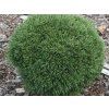 hn�zdo