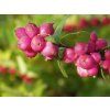 mag. berry