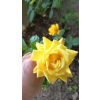 c25bb8e67f932218