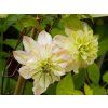 Clematis Pistachio Cake (1)