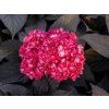 HYDR ECLIPSE S56895