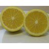 Citroník 'Doux de Mediteranee' (Balení kontejner C2)