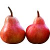 Hruška 'Radana'
