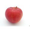 Jabloň 'Red Topaz'