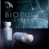 Organické, přírodní peptidy, 60 dávek | Nervový systém | BIOPULSE® CEREBRI 2,5ml