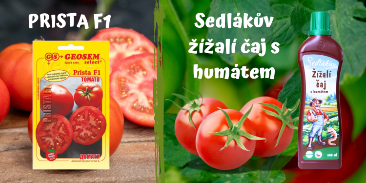 V neděli 9.2. v Polopatě rajče PRISTA a SEDLÁKŮV ŽÍŽALÍ ČAJ!
