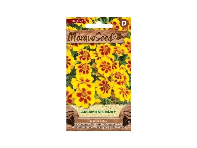 40424 aksamitnik nizky jednoduchy zlutohnedy moravoseed