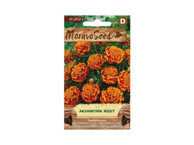 40436 aksamitnik nizky plnokvety oranzovohnedy moravoseed