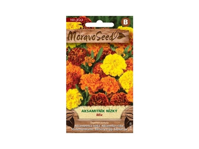 40493 aksamitnik rozkladity plnokvety mix moravoseed