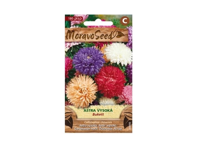 40703 astra vysoka bukett moravoseed