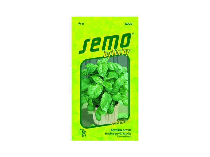 40823 bazalka prava lettuce leaf salatova 1g
