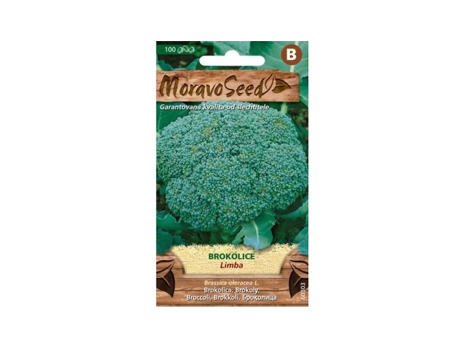41378 brokolice limba moravoseed