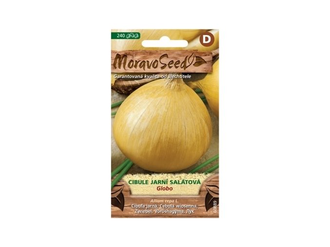 41747 cibule jarni globo moravoseed