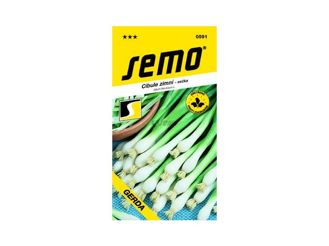 41804 cibule secka gerda zimni 2g