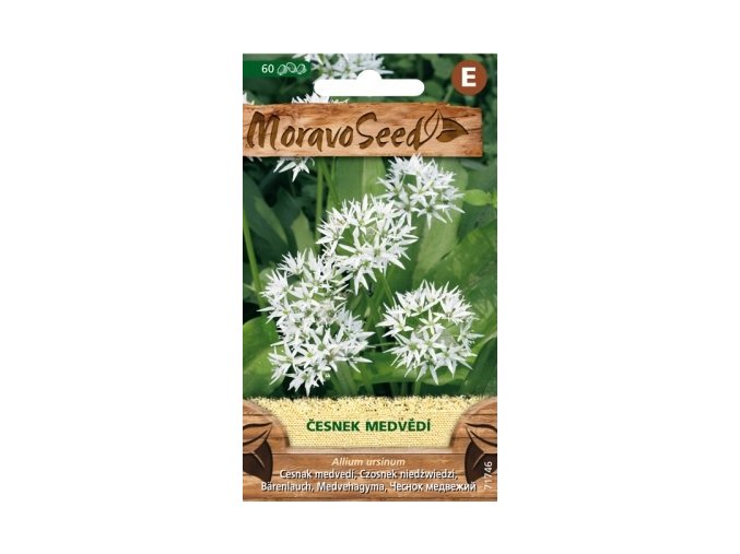 42035 cesnek medvedi moravoseed