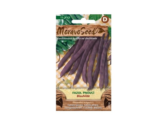 43328 fazol tyckovy blauhilde moravoseed