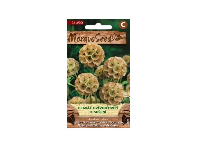 44168 hlavac hvezdicovity moravoseed