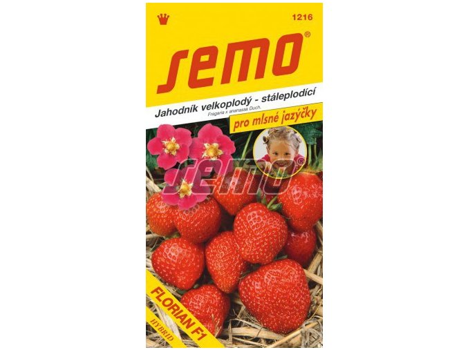 45041 jahodnik velkoplody florian f1 12s serie jazycky