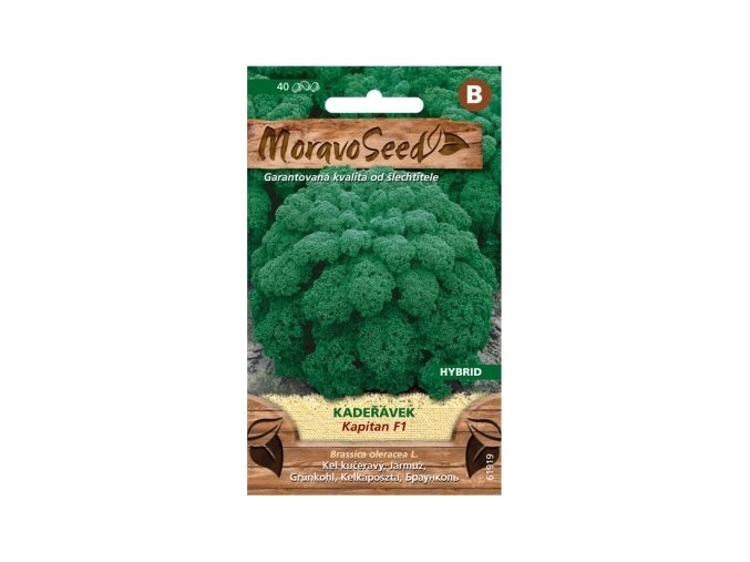 45275 kaderavek kapitan f1 moravoseed