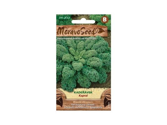 45281 kaderavek kapral moravoseed