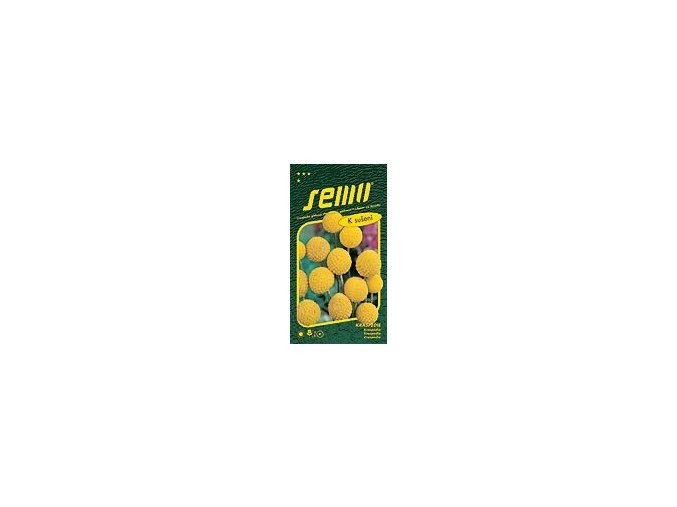 46391 kraspedie billy buttons 0 1g