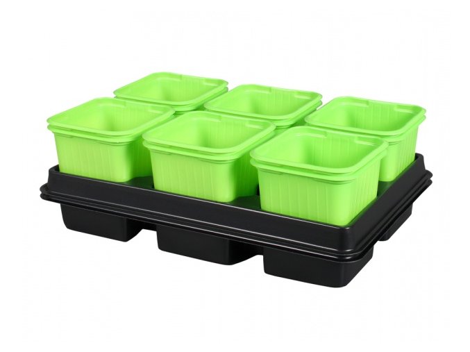 Květník sadbový GREEN s podmiskou zelený 8x8x8cm 2x6ks
