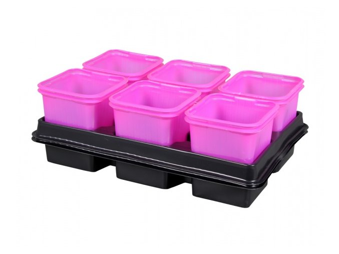 Květník sadbový PINK s podmiskou fialovo růžový 8x8x8cm 2x6ks