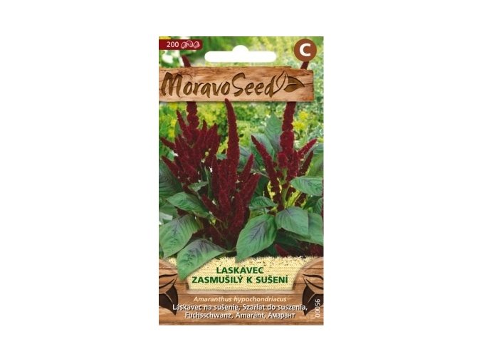 47801 laskavec zasmusily moravoseed