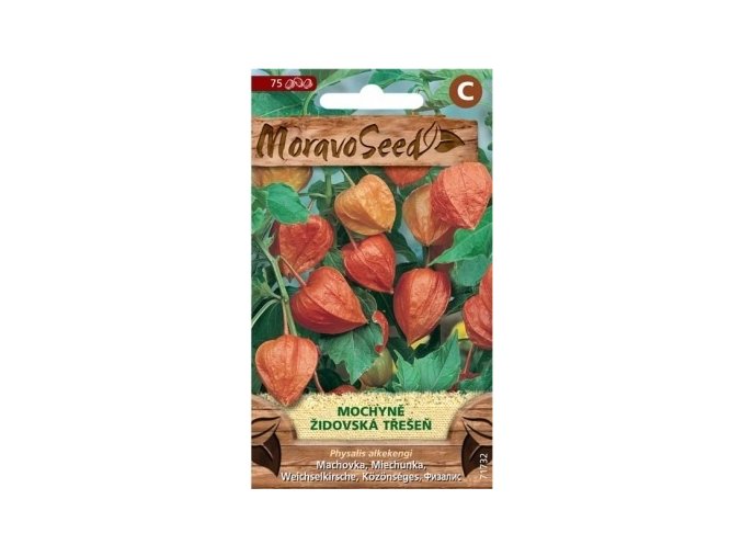 49169 mochyne zidovska tresen moravoseed