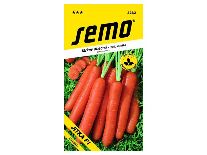 49343 mrkev karotka jitka f1 1 3g