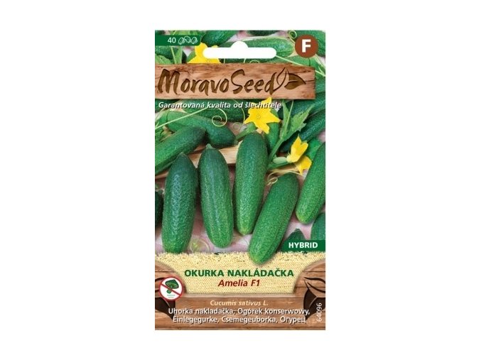 51131 okurka nakladacka amelia f1 moravoseed