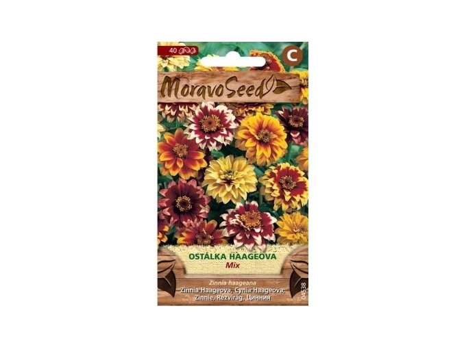 51410 ostalka haageova mix moravoseed