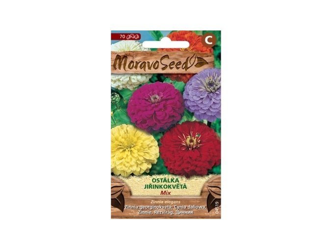 51419 ostalka jirinkokveta mix moravoseed
