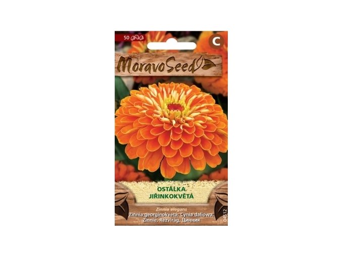 51425 ostalka jirinkokveta oranzova moravoseed