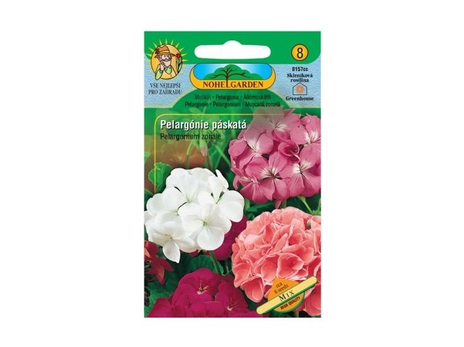 52325 pelargonie paskata mix nohel garden