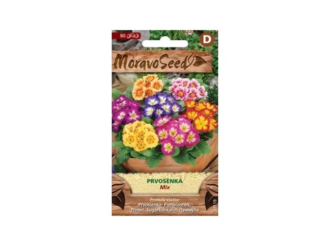 52901 prvosenka mix moravoseed