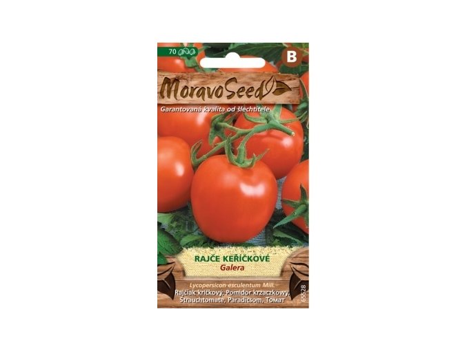 53012 rajce kerickove galera moravoseed