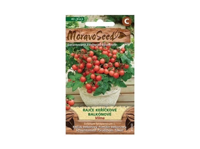 53036 rajce kerickove vilma moravoseed