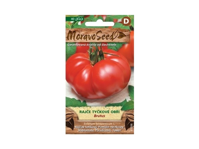 53114 rajce tyckove brutus moravoseed