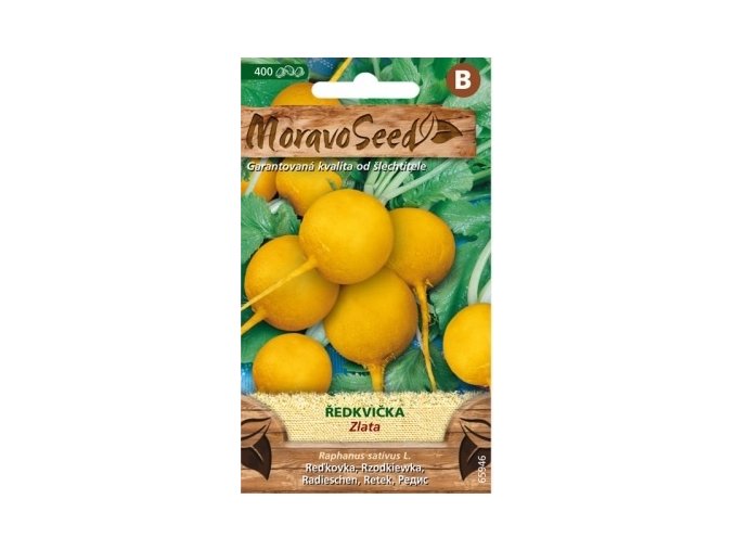 54113 redkvicka zlata moravoseed